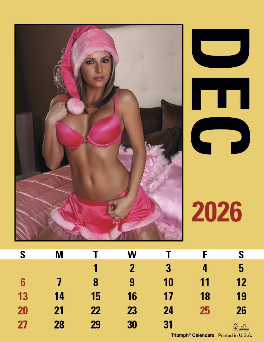 Triumph Calendars PressNStick Maiden America Calendar-V8897