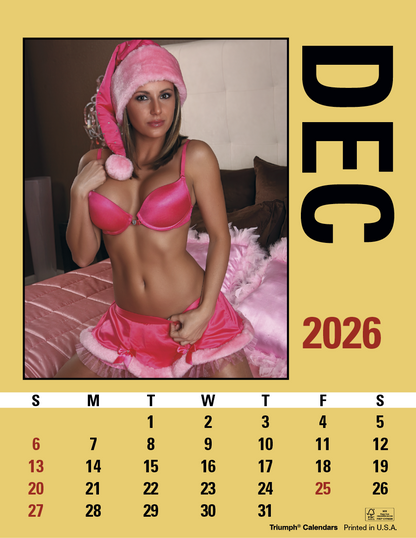 Triumph Calendars PressNStick Maiden America Calendar-V8897
