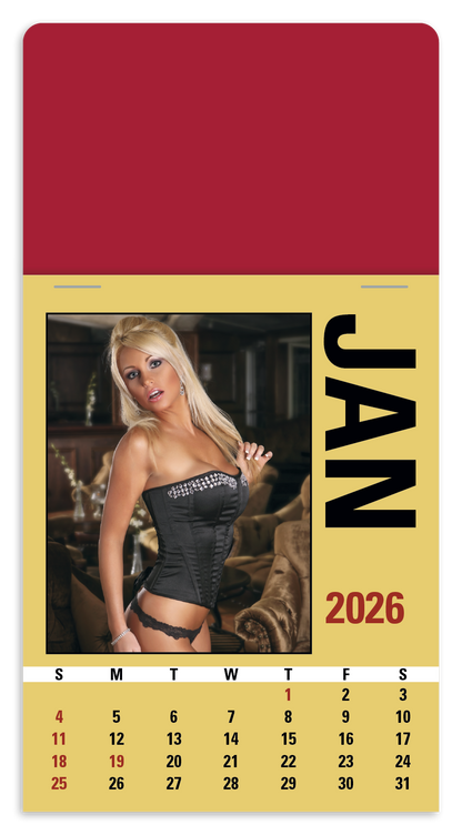Triumph Calendars PressNStick Maiden America Calendar-V8897