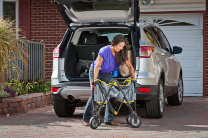 Coleman Camp Wagon-VCLM043